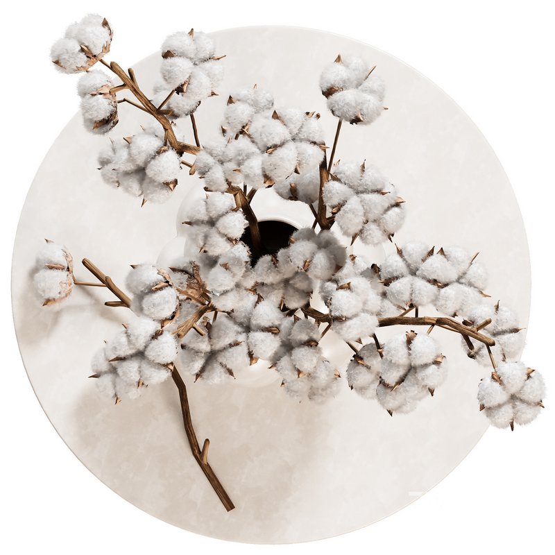 Beautiful Cotton Branches in a Ceramic Vase Image 3