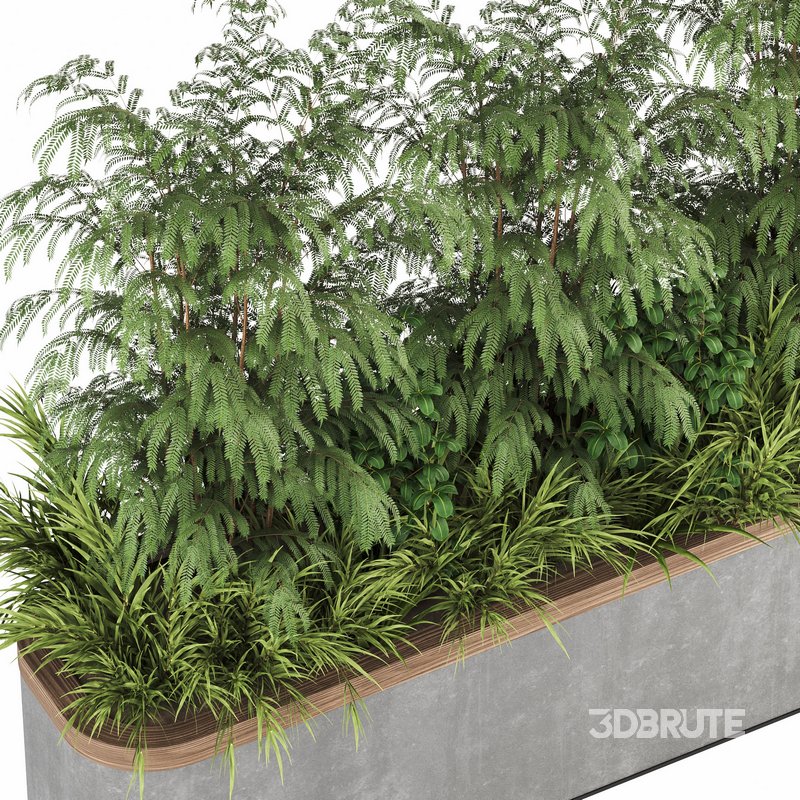 Plants In Box set-151 Image 4