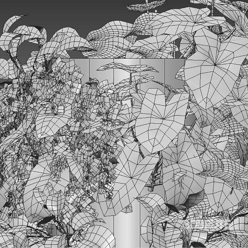 Verticalgarden 31 Image 2