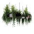 Indoorplants-Hanging plants set-83 - Thumbnail 7