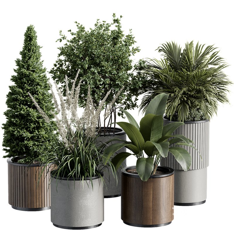 Outdoor Plant 36 Image 4