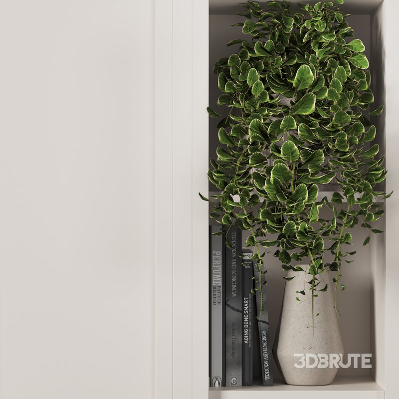 75 wardrobe 75 Image 2