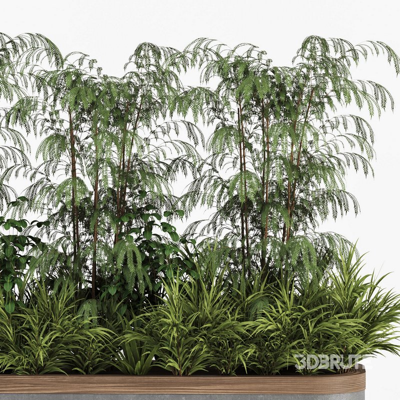 Plants In Box set-151 Image 2