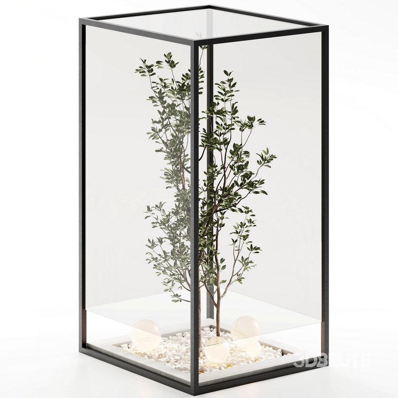 indoor plant set 32 Image 2