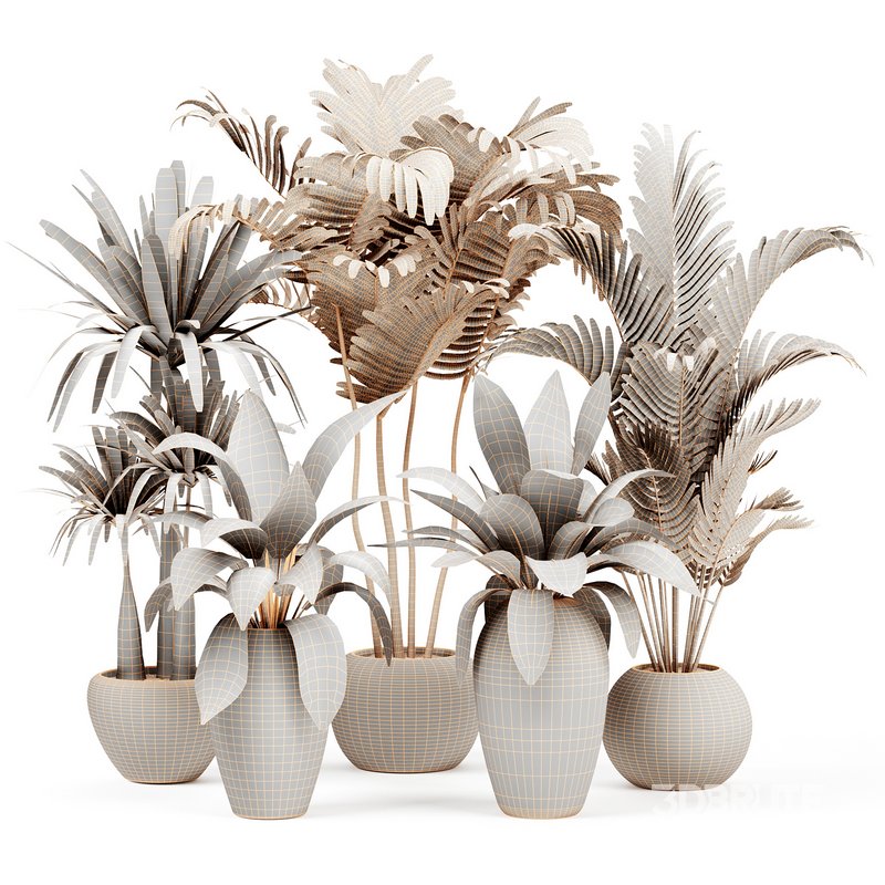 Indoorplants-153 Image 6