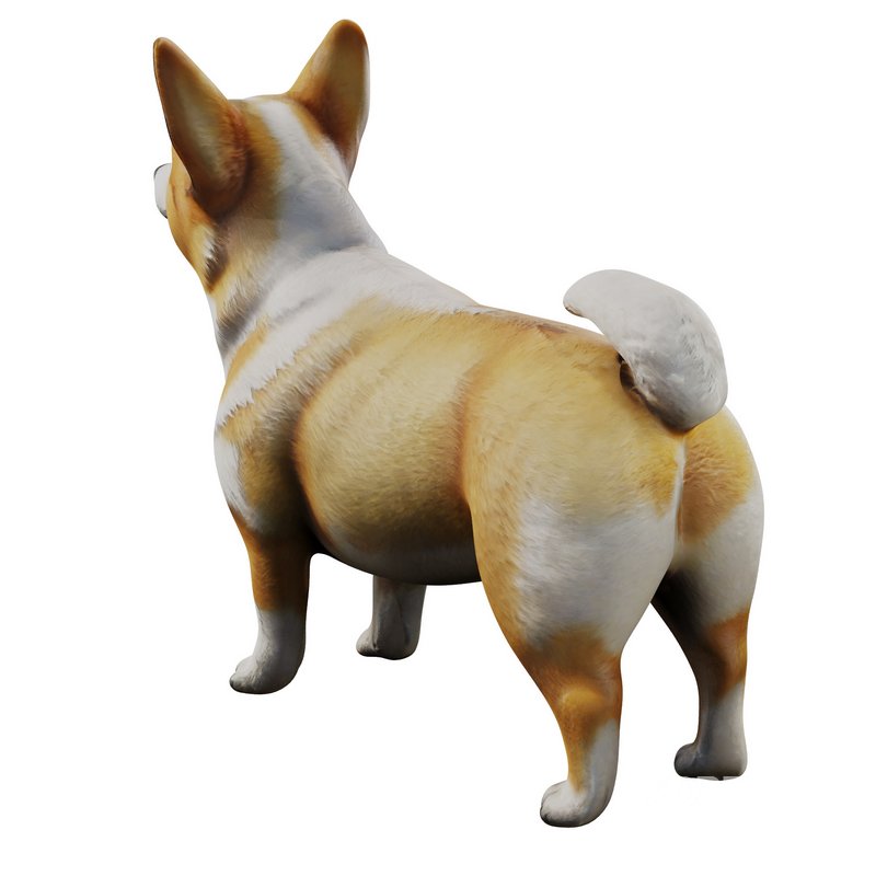 Corgi Image 3
