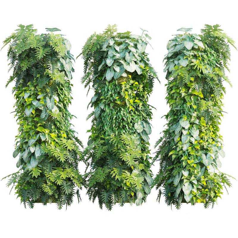 Vertical garden 27 Image 1