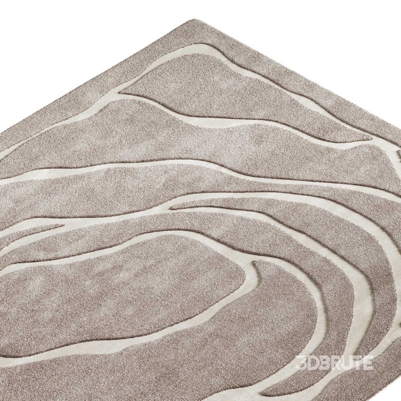 Contemporary carpet 24 Image 3