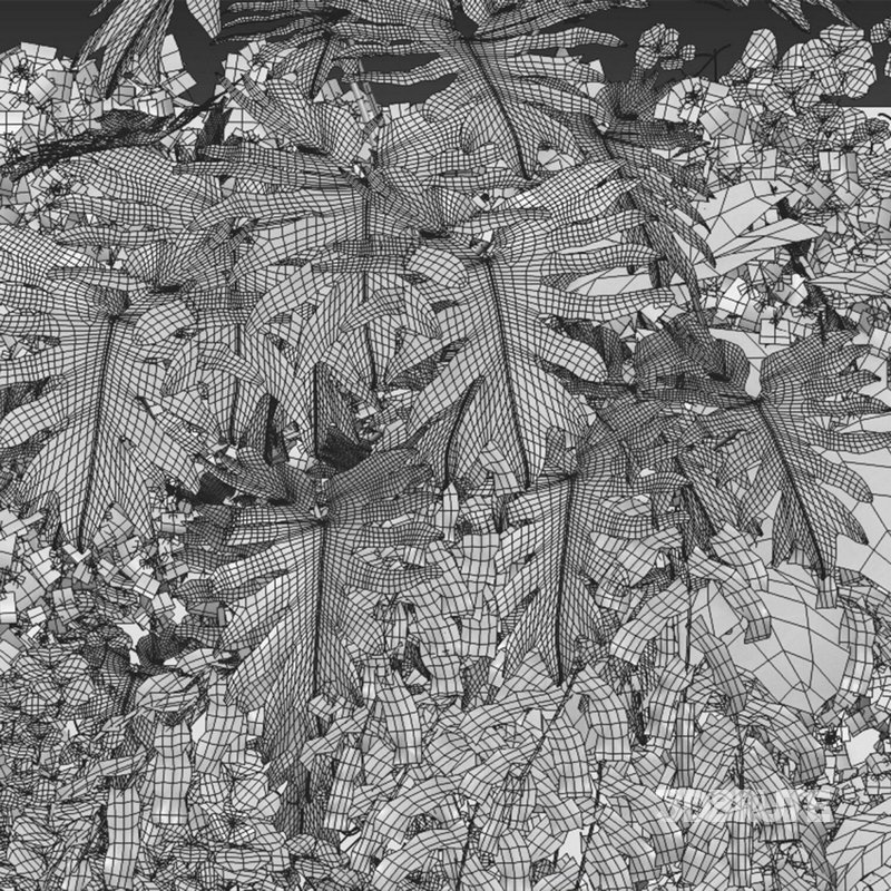 Vertical Garden 10 Image 2