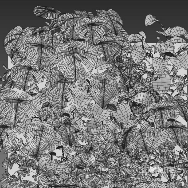 Vertical Garden 15 Image 2