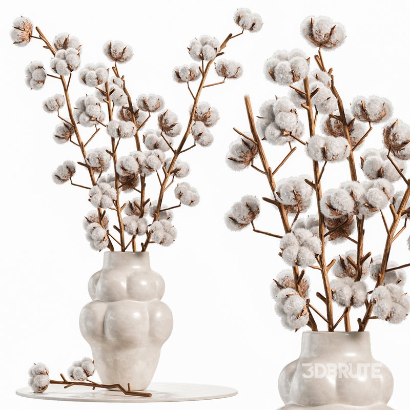 Beautiful Cotton Branches in a Ceramic Vase Image 4