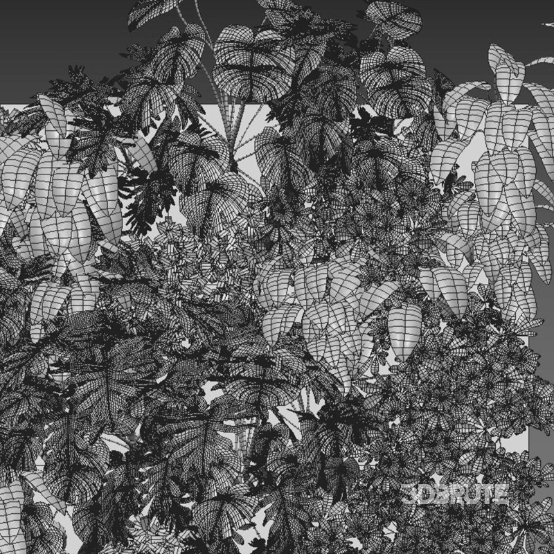 Vertical garden 08 Image 2