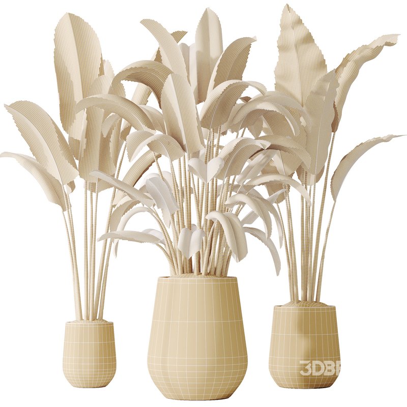 AV Indoor plants set 143 Bird Of ParadiseBird Image 4