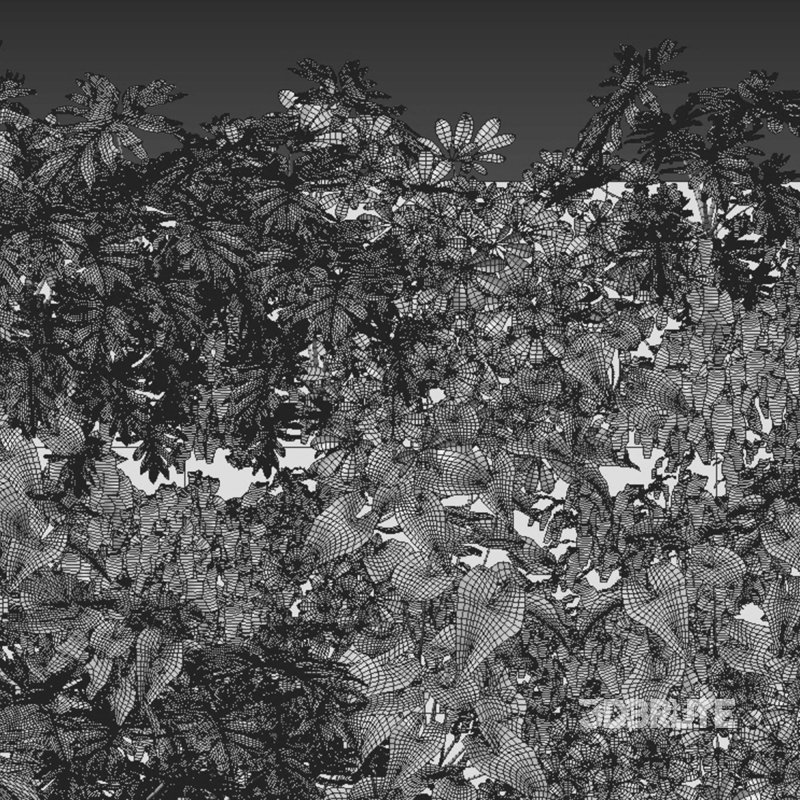 Vertical garden 02 Image 2