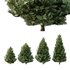 spruce tree005 - Thumbnail 2