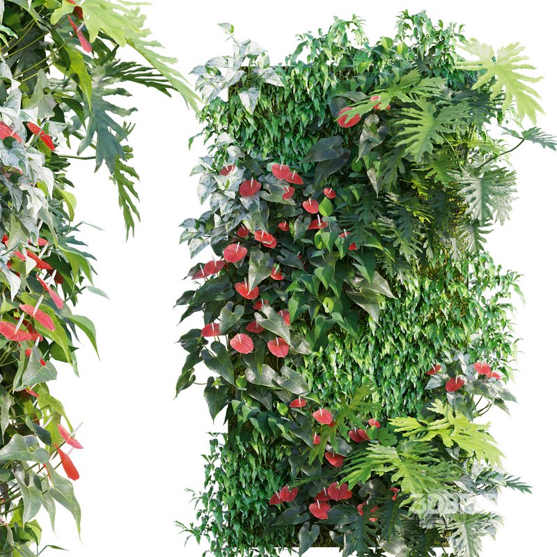 Vertical garden 23 Image 1