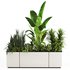 Indoorplants-Plants in Boxset150 - Thumbnail 2