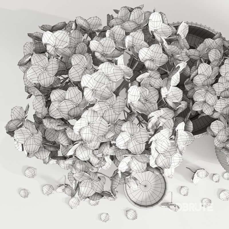 Set Bouquets 16 Image 4