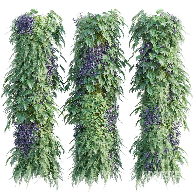 Verticalgarden 30 Image 1