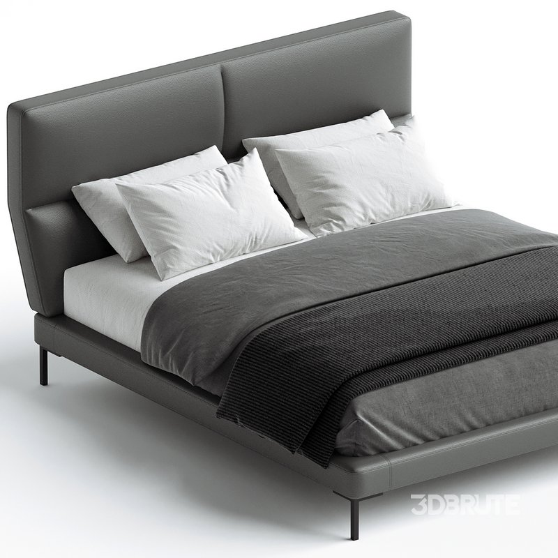 Blanche Laval Bed design by Viktoria Kameneva Image 2