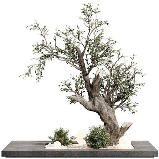 indoor plant set 31