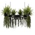 Indoorplants-Hanging plants set-84 - Thumbnail 4