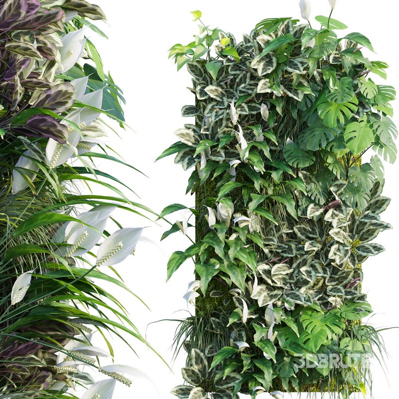 Vertical garden 19 Image 1