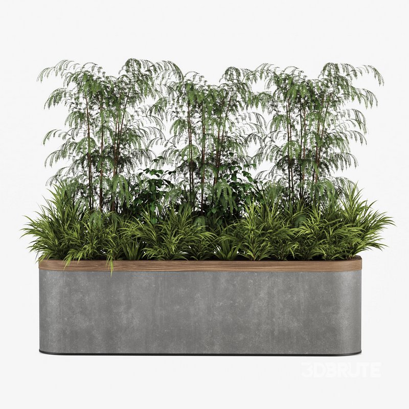 Plants In Box set-151 Image 5