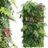 Vertical Garden 14 - Thumbnail 1