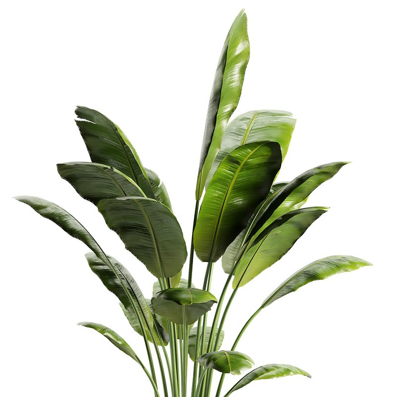 Modern Indoor Planter Image 2