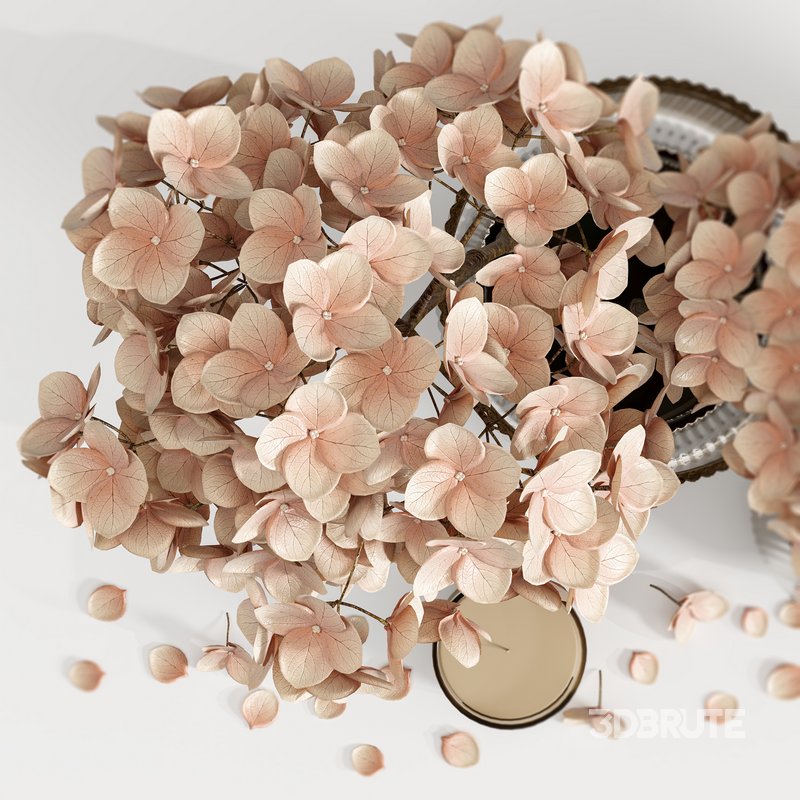 Set Bouquets 16 Image 2