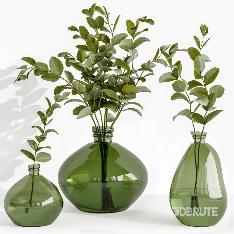 Set Bouquets eucalyptus Image 1