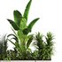 Indoorplants-Plants in Boxset150 - Thumbnail 4