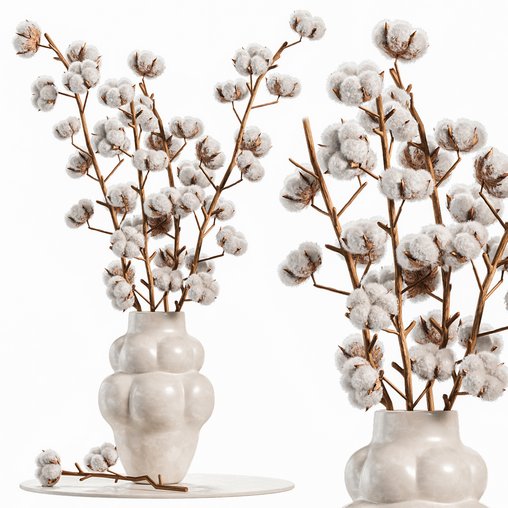 Beautiful Cotton Branches in a Ceramic Vase