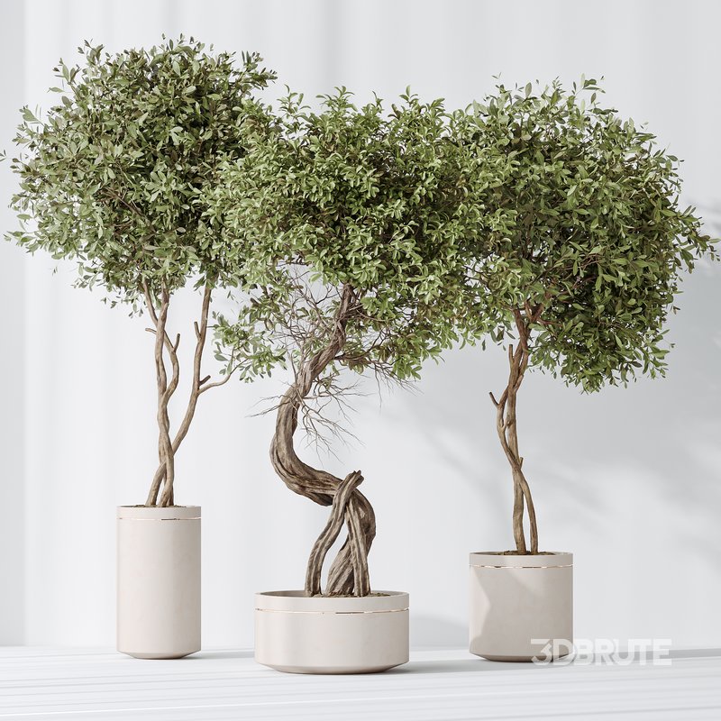 AV Indoor plants set 145 Olive Artificial Olivo Olea Tree Image 3