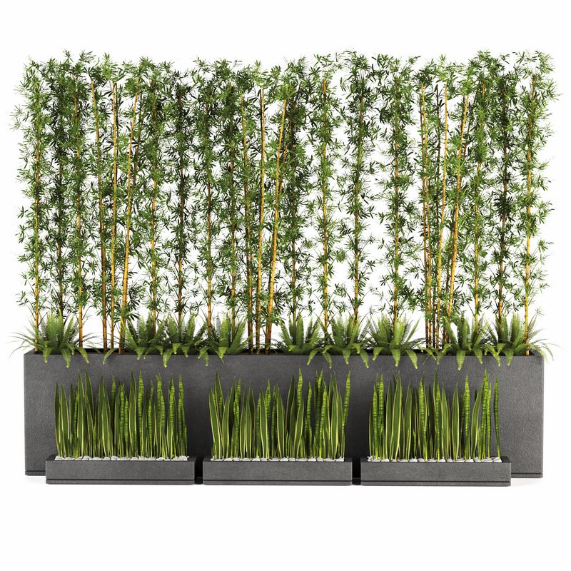 Plants In Box set-152 Image 3