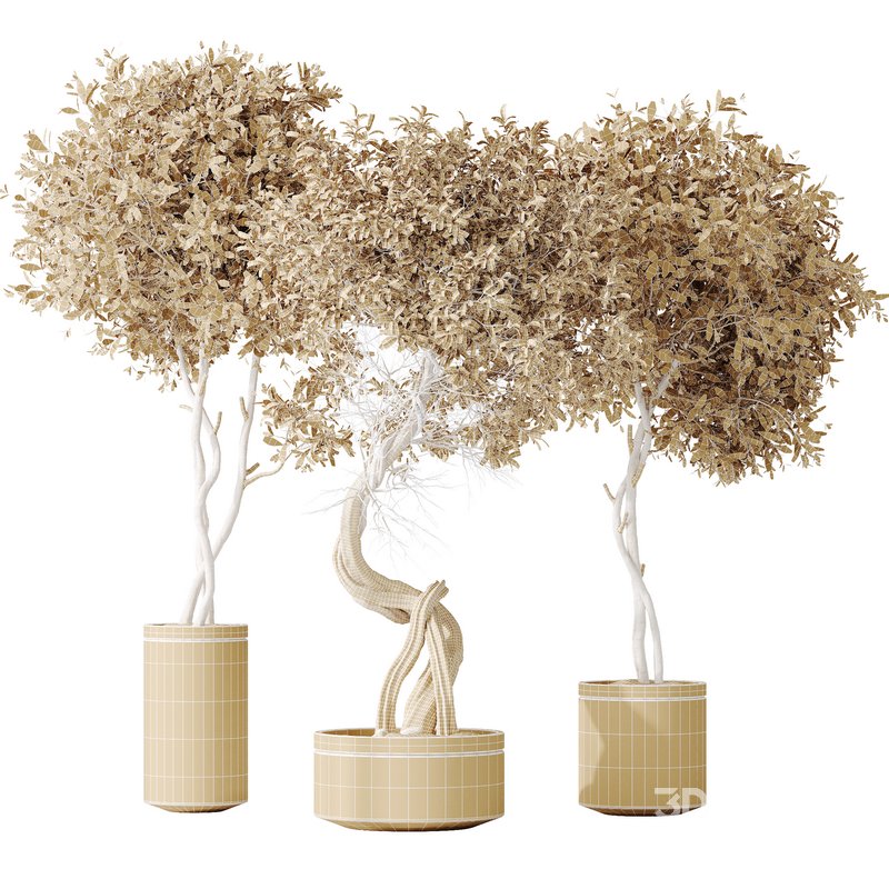 AV Indoor plants set 145 Olive Artificial Olivo Olea Tree Image 5