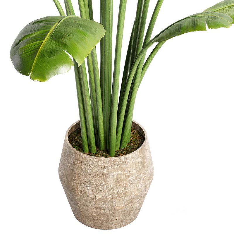 Modern Indoor Planter Image 1