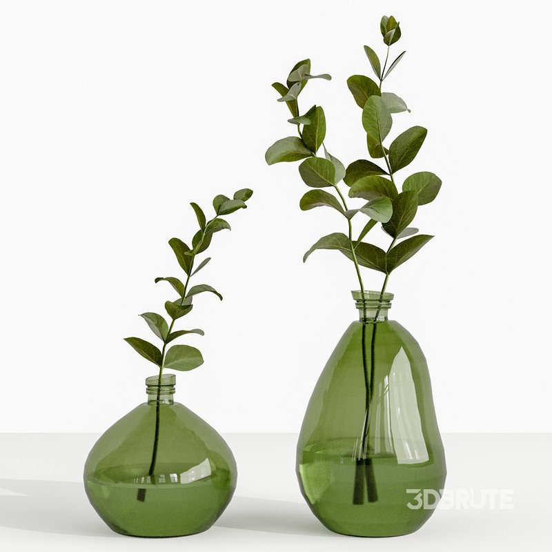 Set Bouquets eucalyptus Image 2