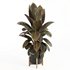 Rubber Plant with Modern Wooden Stand - Thumbnail 1