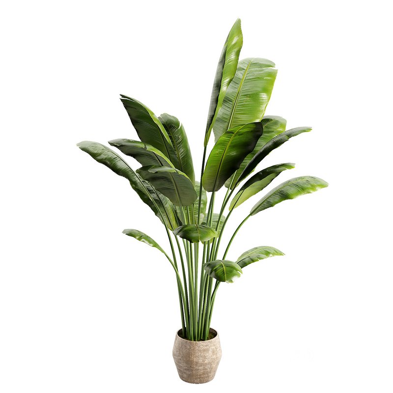 Modern Indoor Planter Image 4