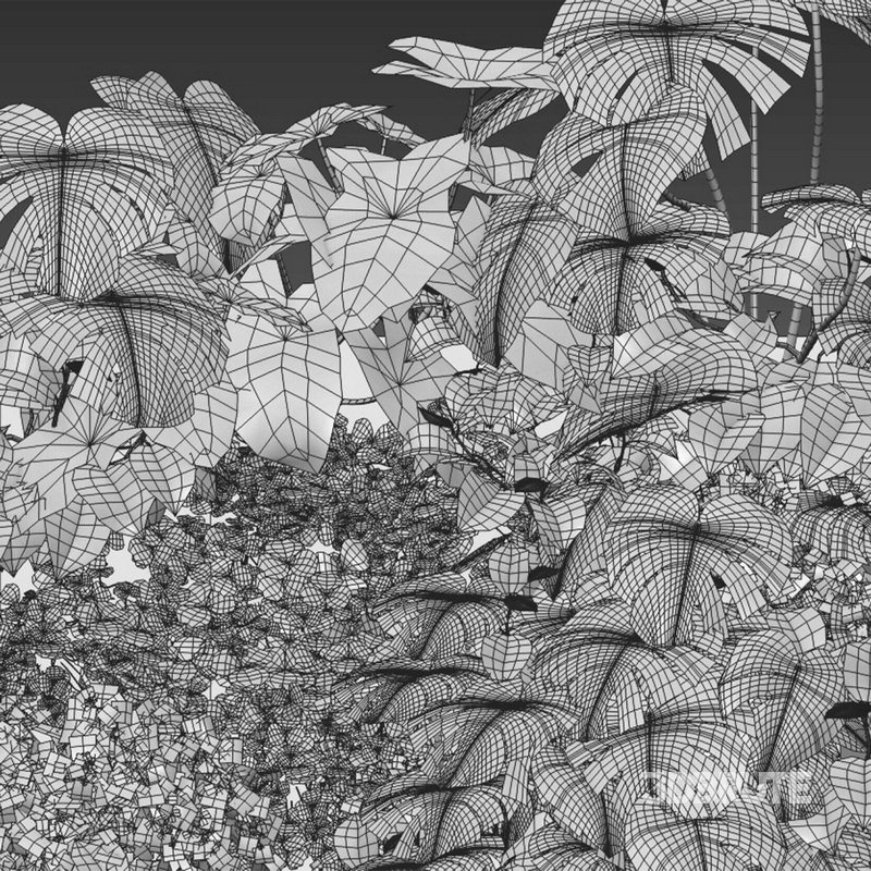 Vertical Garden 22 Image 2