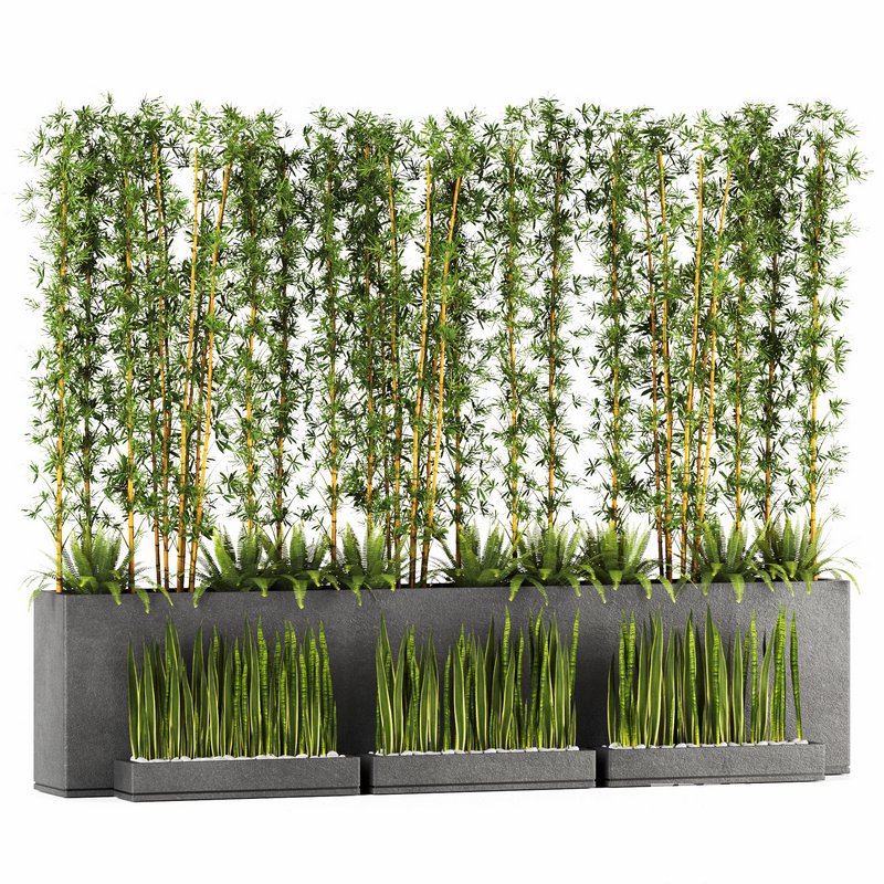 Plants In Box set-152 Image 1