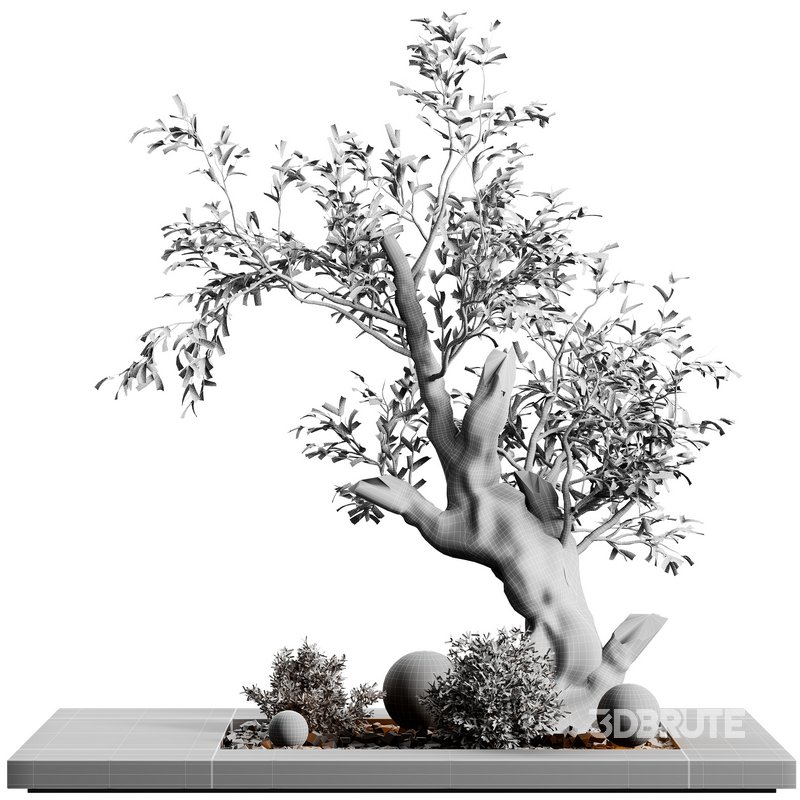 indoor plant set 31 Image 2