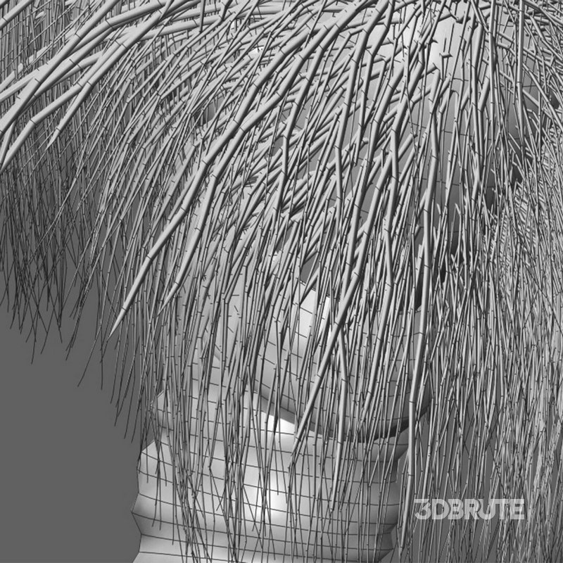 Xanthorrhoea Arborea – Grass Tree – 02 Image 4