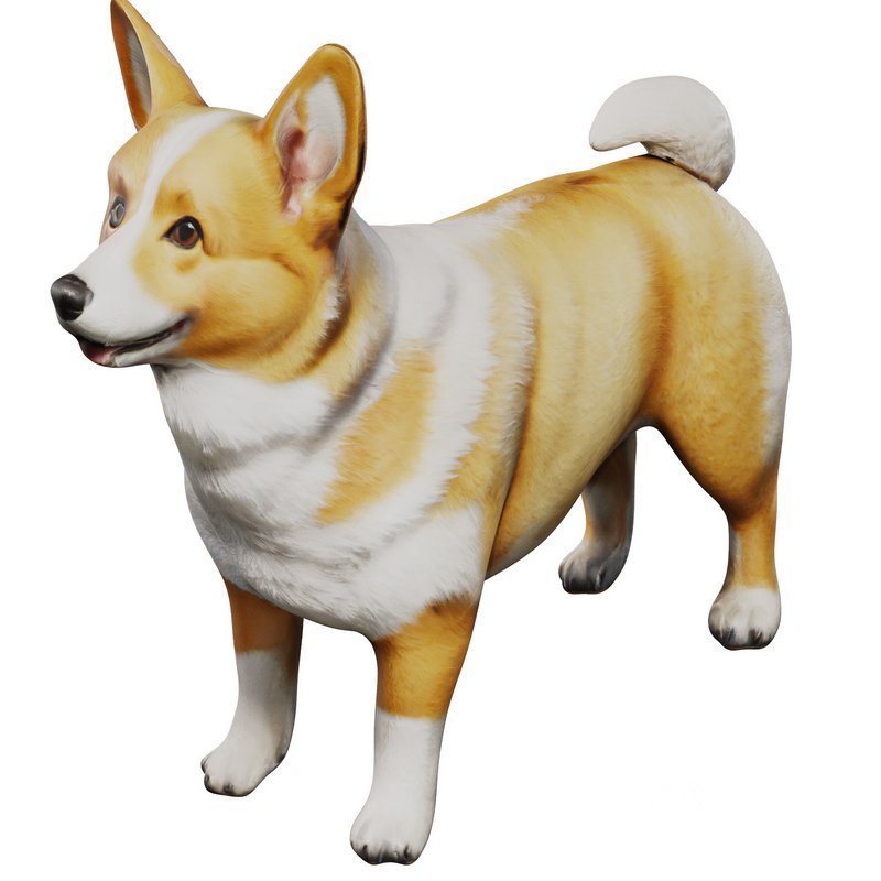 Corgi Image 6