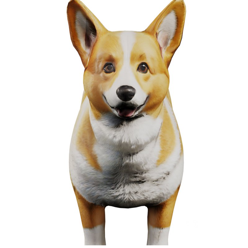 Corgi Image 4