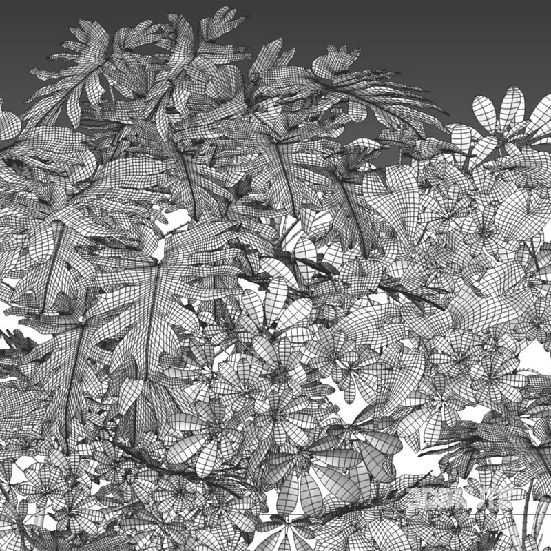 Vertical Garden 14 Image 2