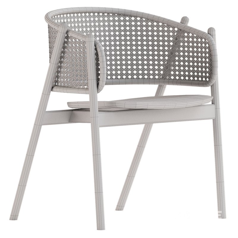 Cane Armchair Image 5