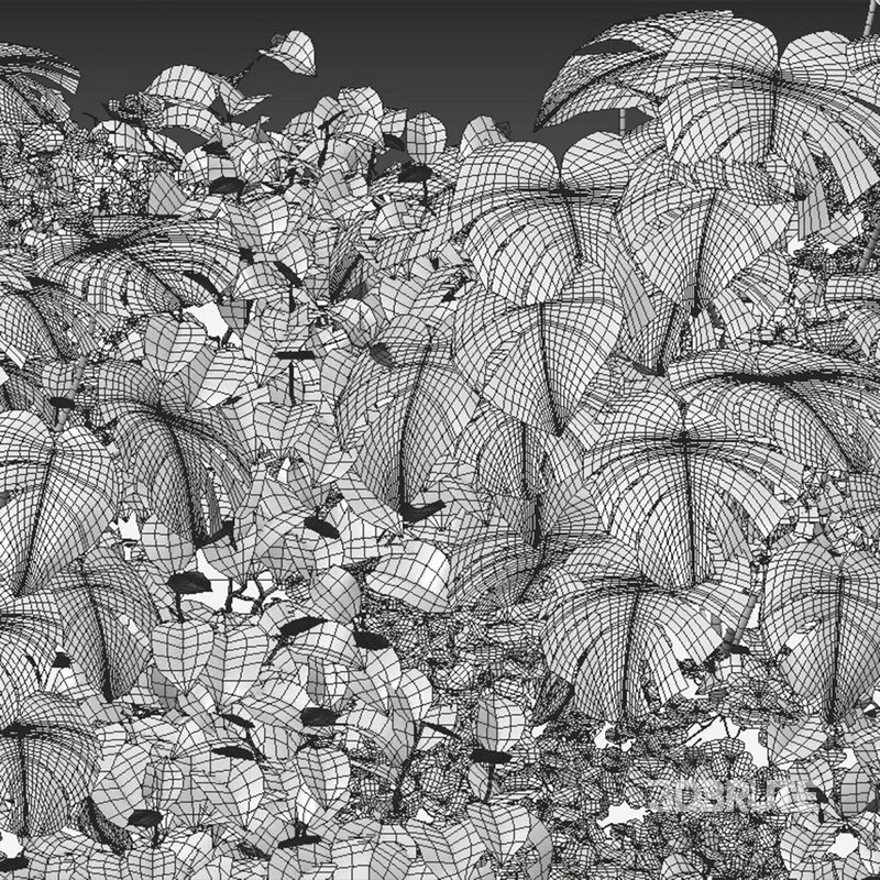 Vertical garden 12 Image 2